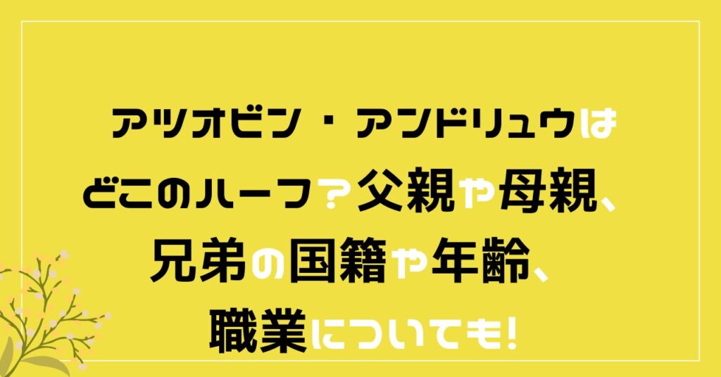 アツオビン・アンドリュウ