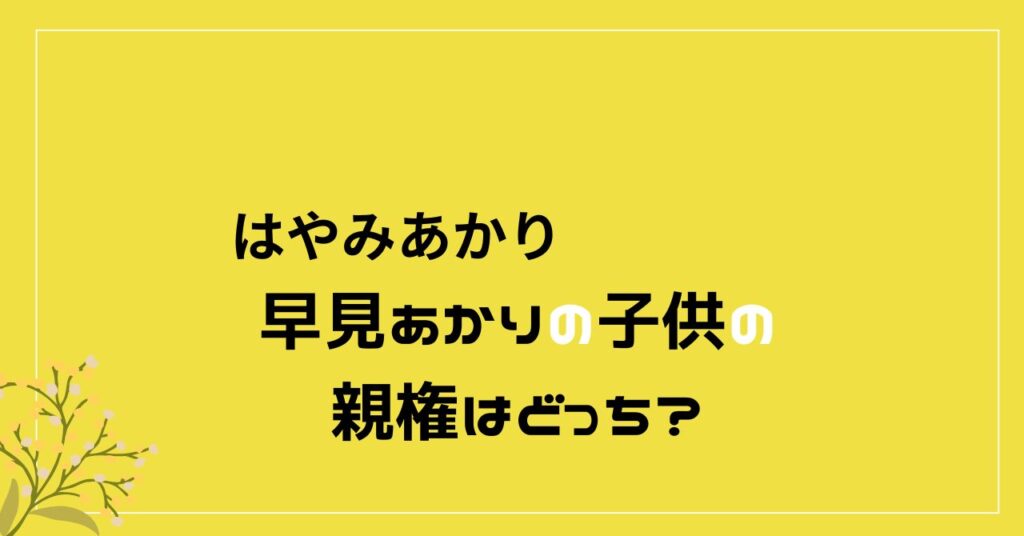 早見あかり　親権