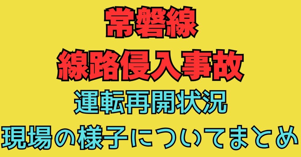 　画像　常磐線 藤代　取手駅間　線路　車侵入事故　現場の状況　運転再開　けが人　現場　様子