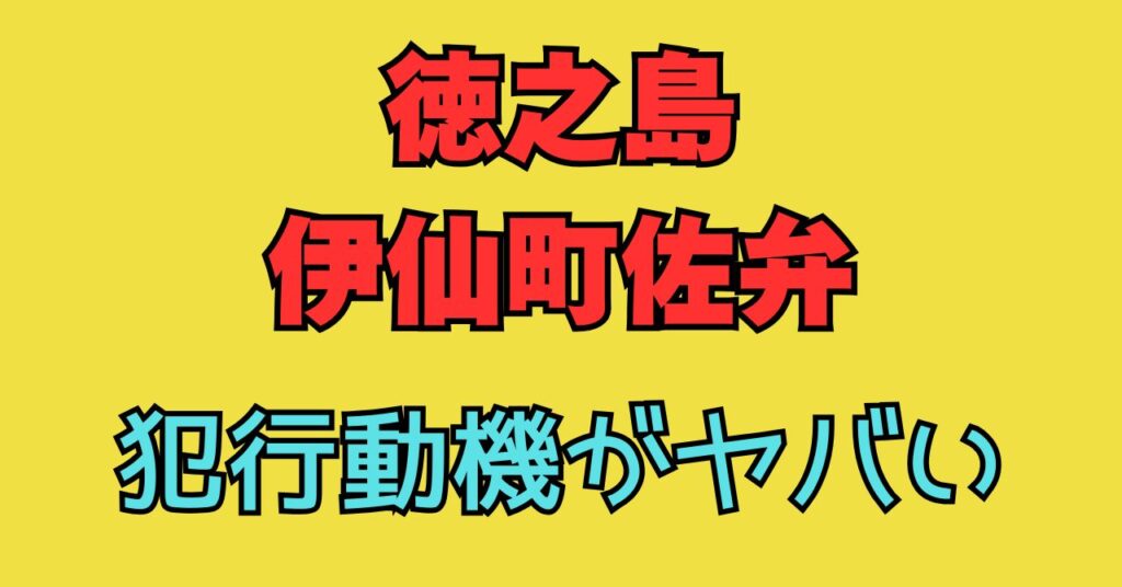 徳之島　伊仙町　佐弁　保育士殺害　事件　犯行動機　犯人　高校生　特定